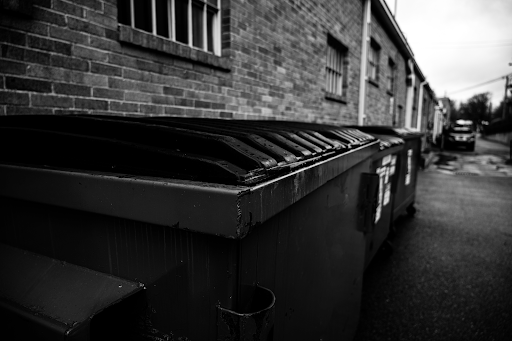 Avoid Extra Costs for Dumpster Rentals 