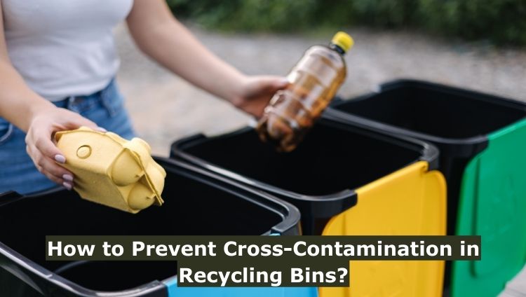 How to Prevent Cross-Contamination in Recycling Bins