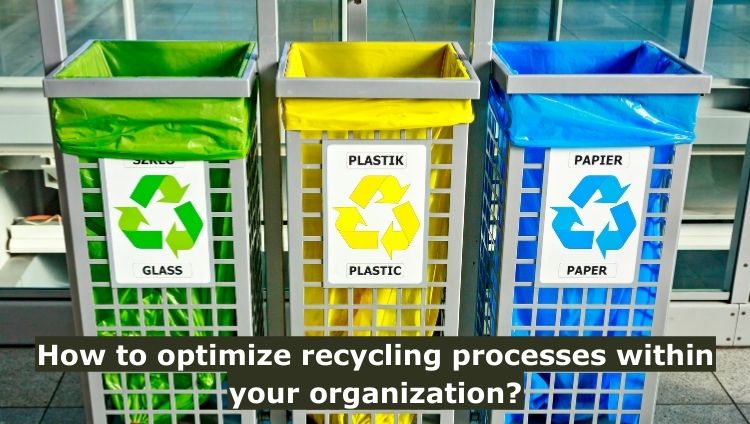 How to optimize recycling processes within your organization