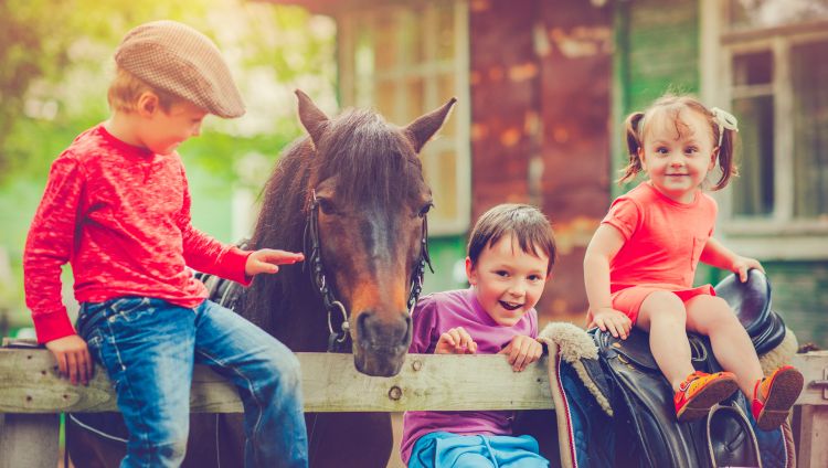 Children and Pets